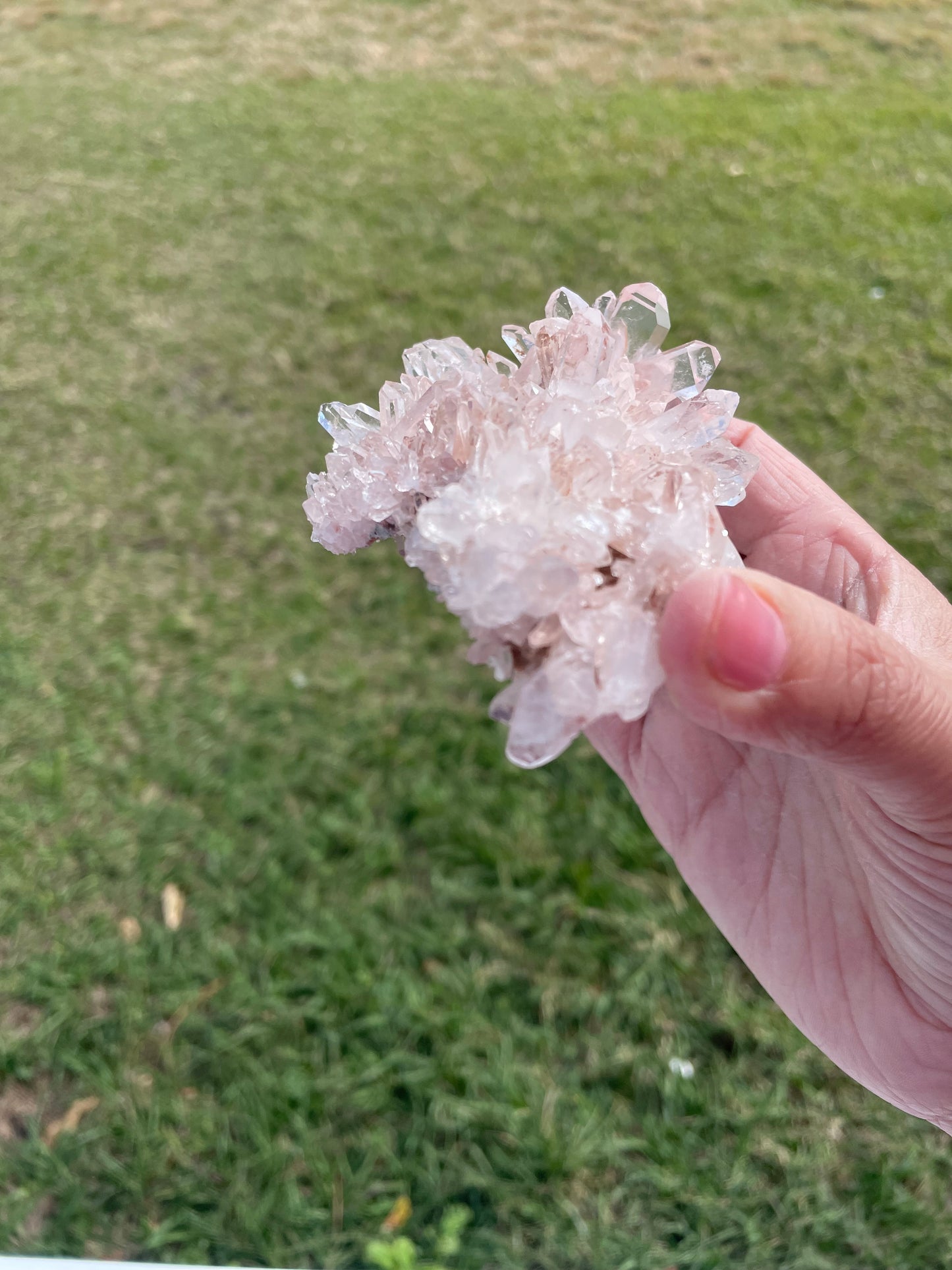 Pink Lemurian Quartz Cluster 184g