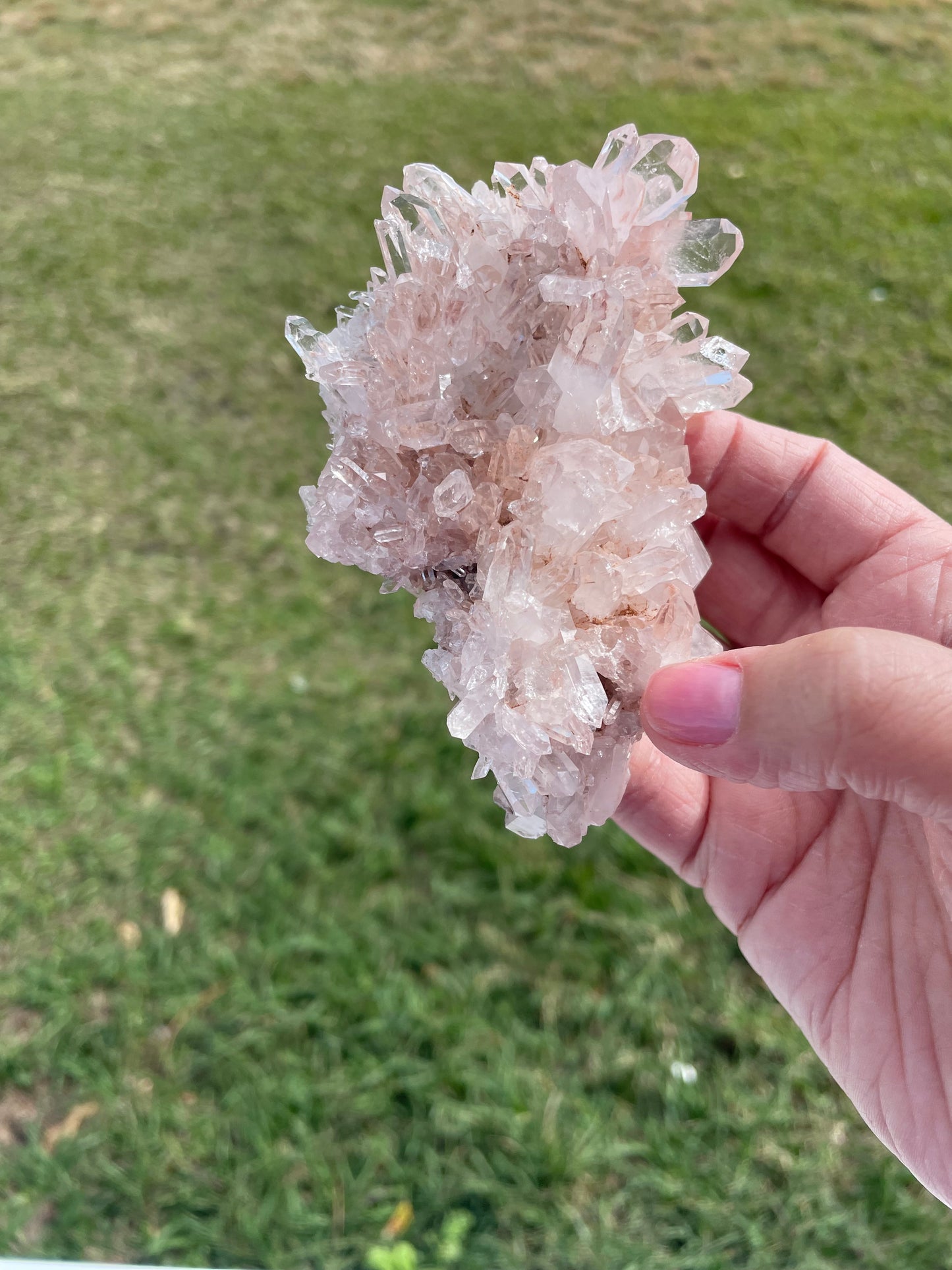 Pink Lemurian Quartz Cluster 184g