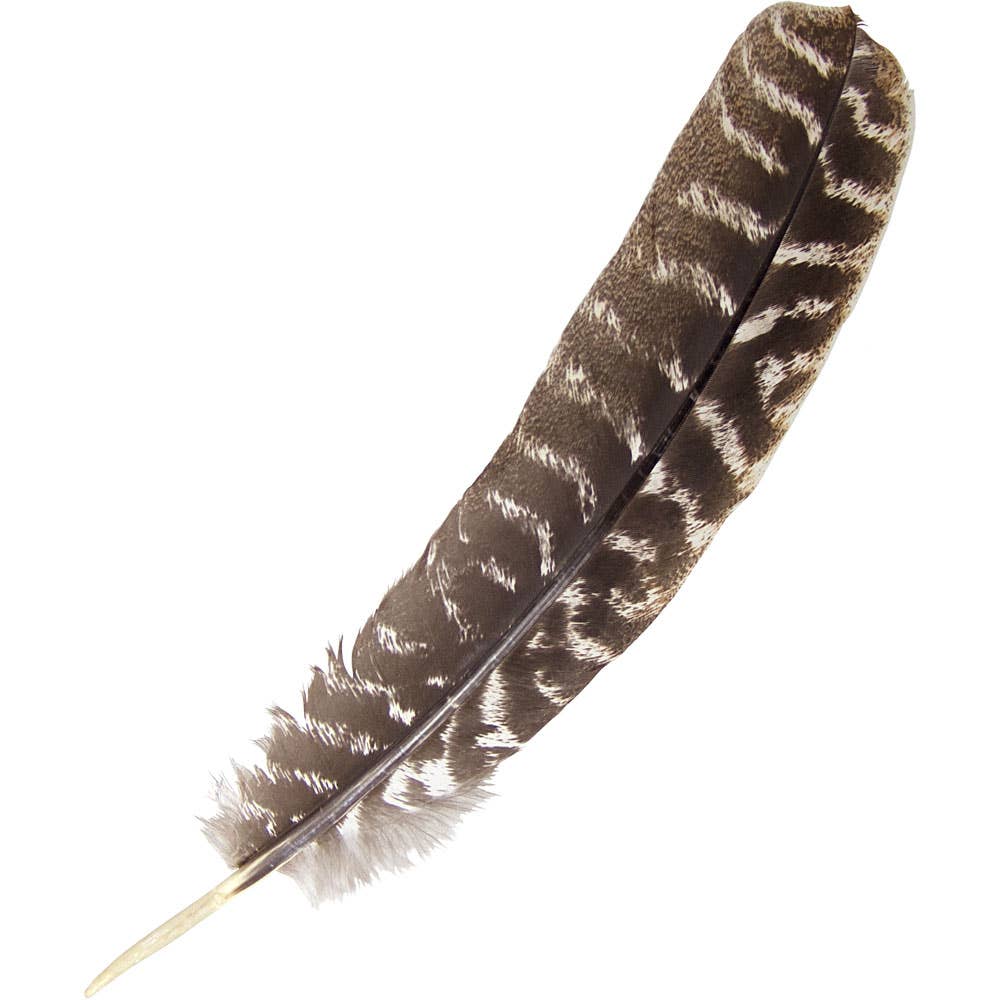Turkey Feather — Smudging & Ritual Fan