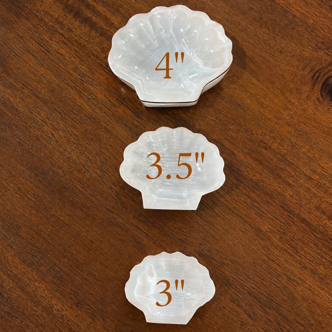 Copper-Infused Selenite Shell Bowl - Cleanse · Charge · Open