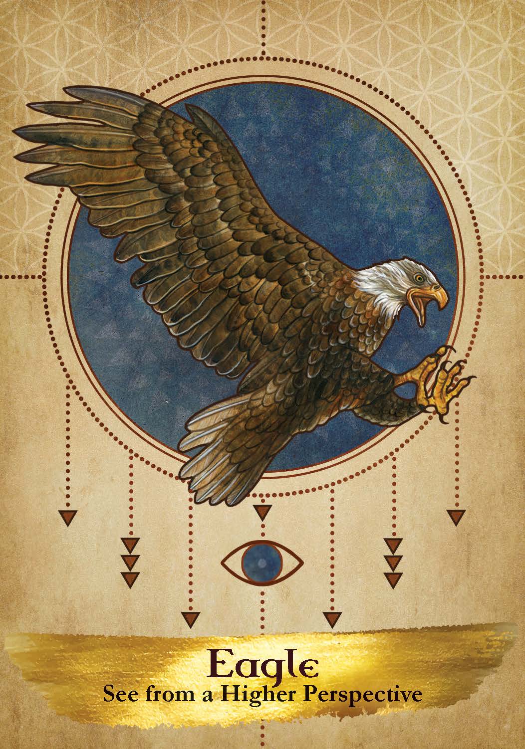 Angels and Ancestors Oracle Cards by Kyle Gray | 55-Card Deck