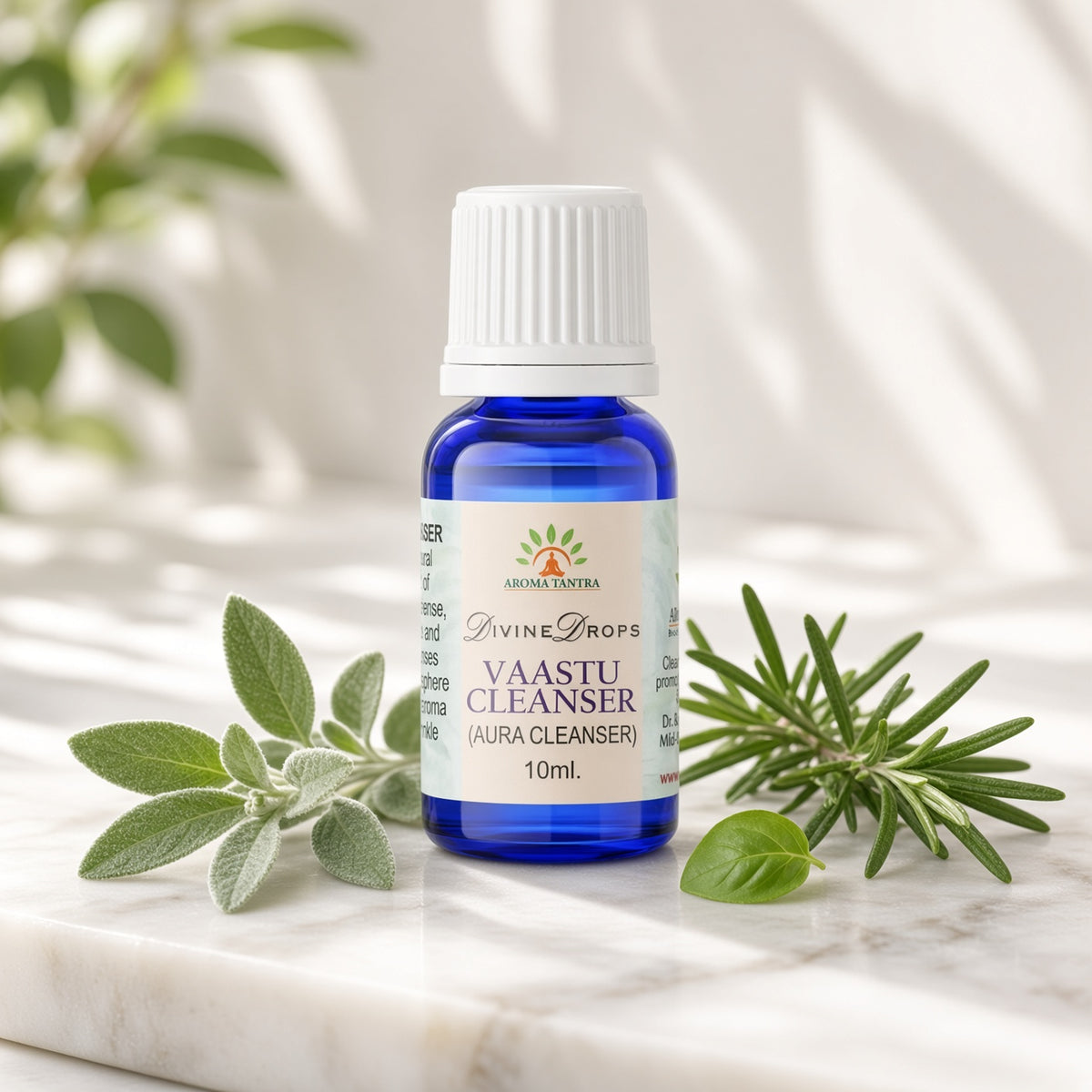 Vaastu Cleanser Aura Oil 10ml - AromaTantra Divine Drops