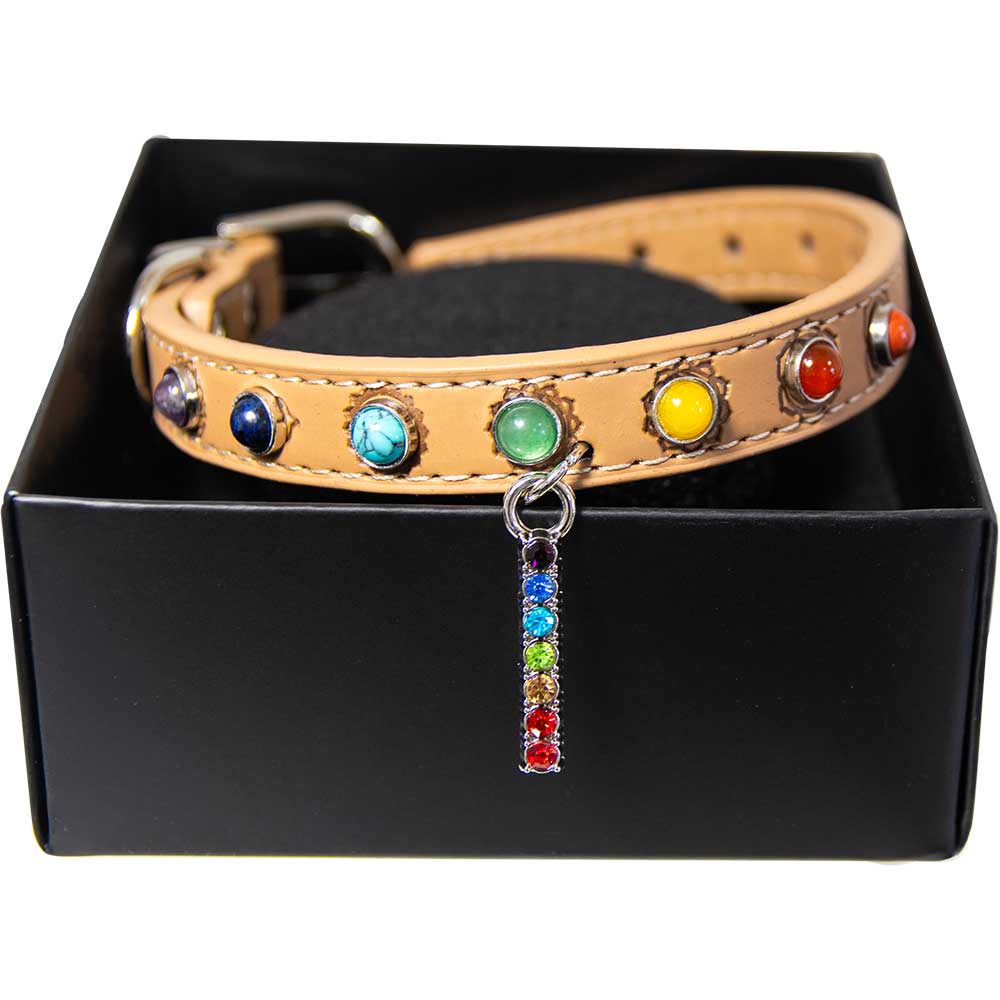 Vegan Leather Dog Collar - 7 Chakras - Large