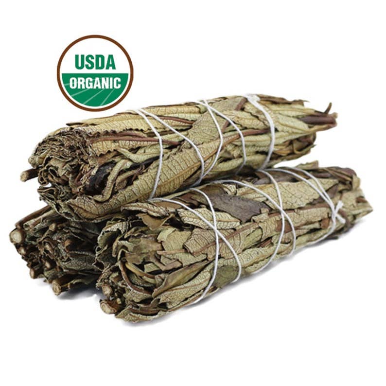 Yerba Santa Smudge Stick 4 Inch – Heart Healing, Protection &amp; Gentle Cleansing