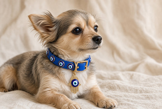 Evil Eye & Hand of Fatima Vegan Leather  Pet Collar – Small (Cat/Dog)