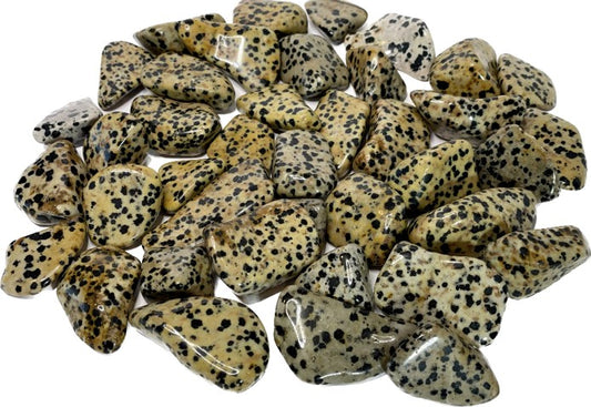 Dalmatian Jasper